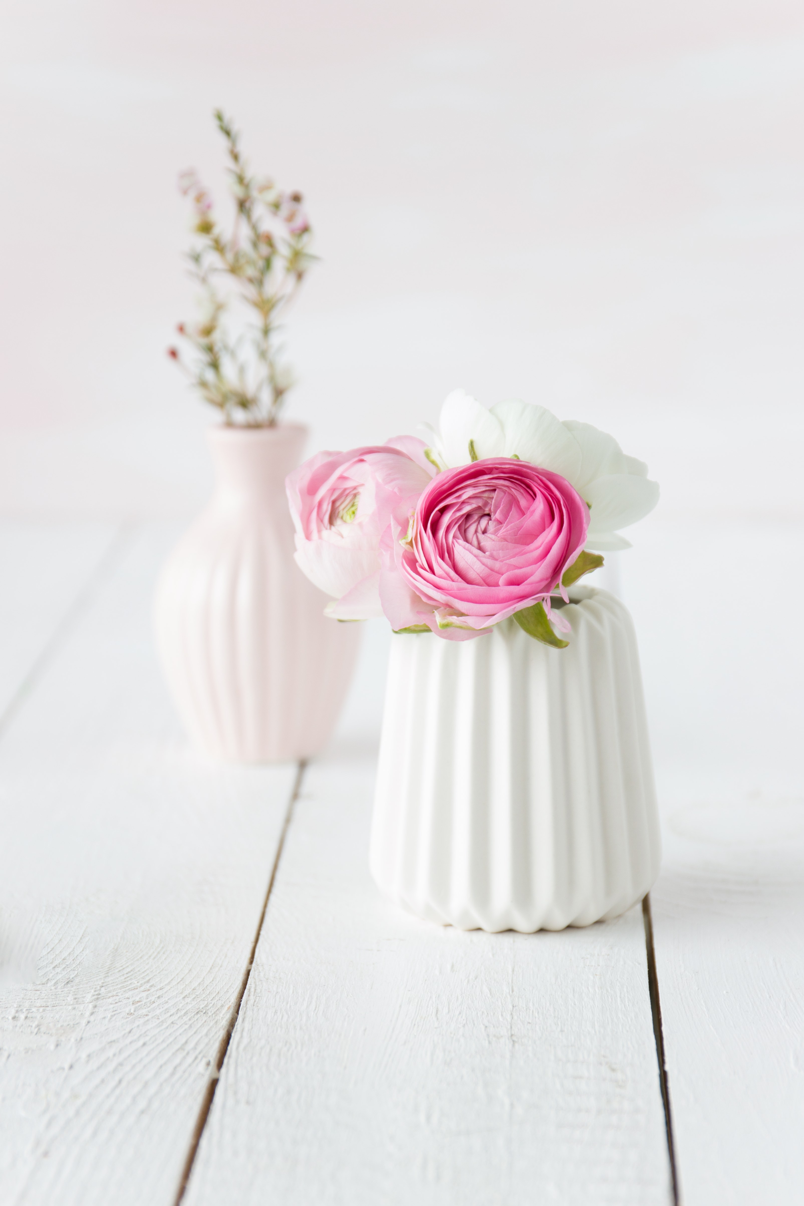 Ranunkeln in weißer Vase | Emma´s Lieblingsstücke