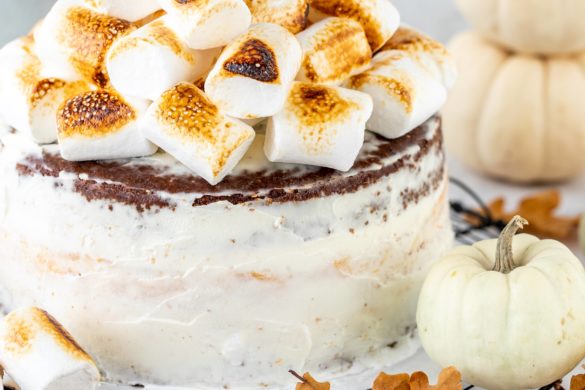 Kürbis S´mores Cheesecake Torte Marshmallow Pumpkin Herbst Backen Rezept Käsekuchen