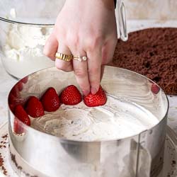 Erdbeer-Schoko-Joghurt-Torte zum Muttertag backen. Emmas Lieblingstücke